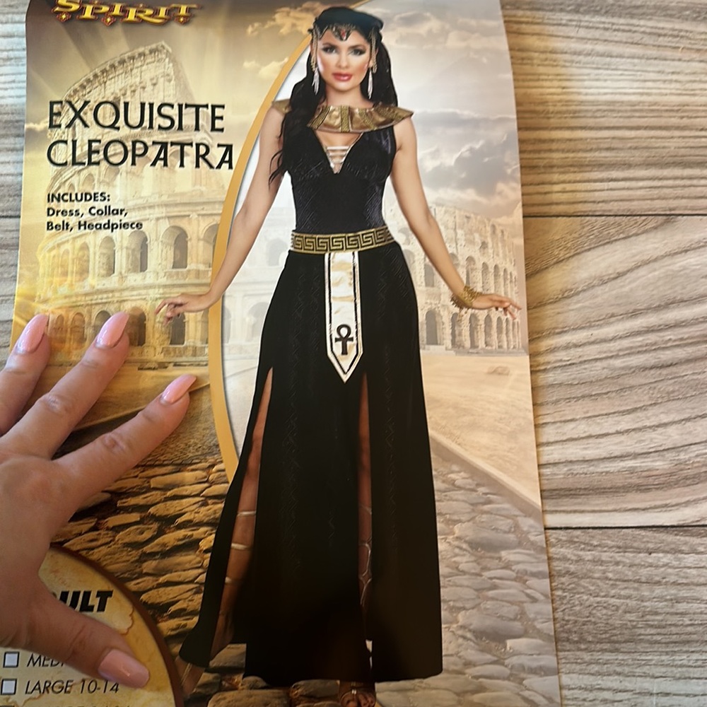 Exquisite Cleopatra Halloween Costume